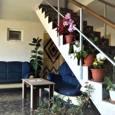 Vila Nico Costineşti Exterior foto