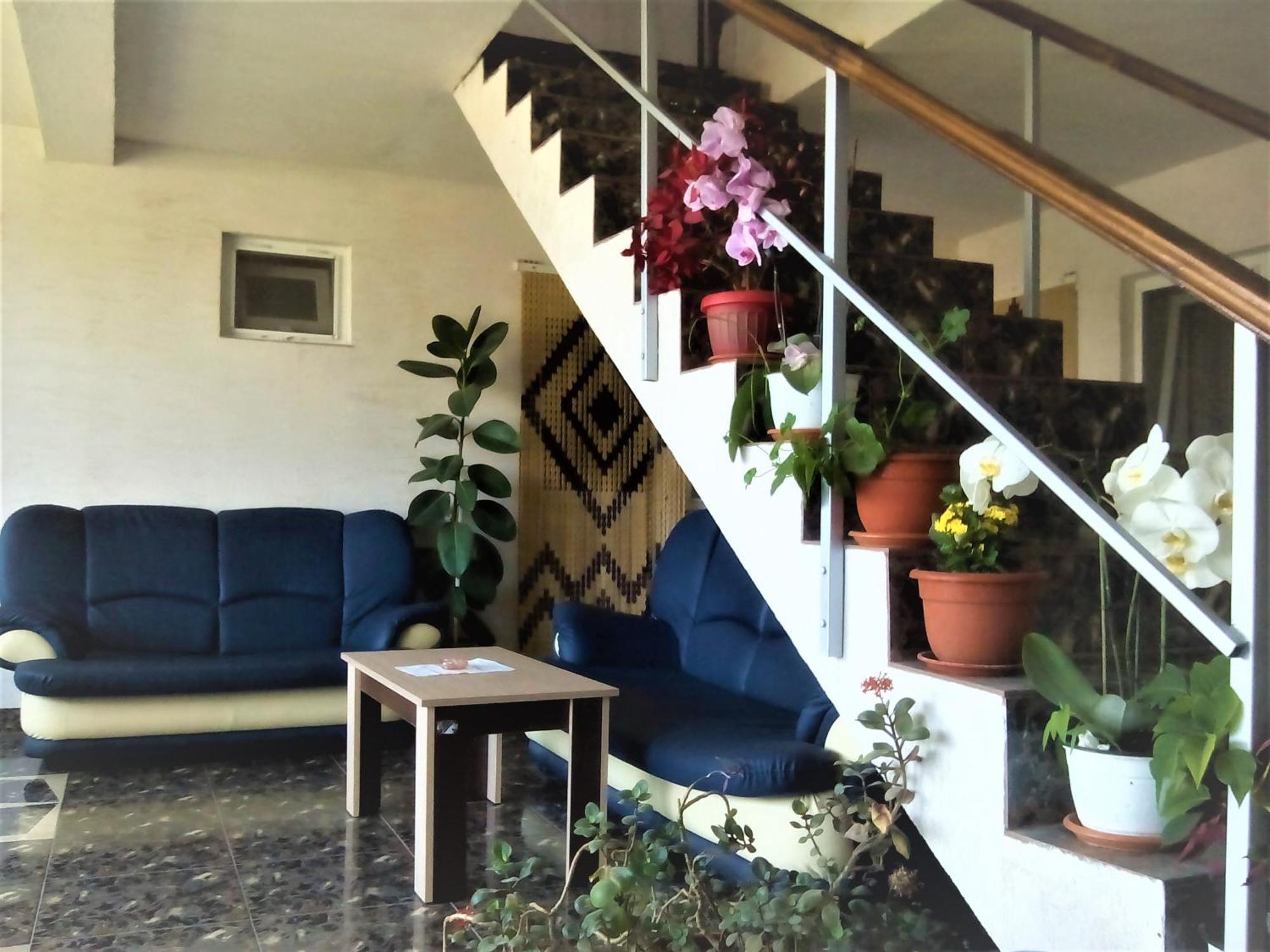 Vila Nico Costineşti Exterior foto